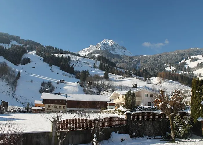 Haus Schoenegger 아파트 *